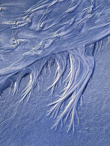 Blue Fibers III White Modern Wood Framed Art Print with Double Matting by Grayscale