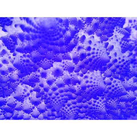 Fractal Clouds I Black Modern Wood Framed Art Print with Double Matting by Grayscale