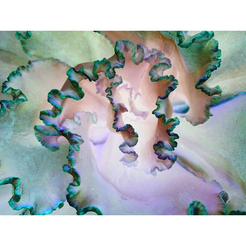 Green Ribbons II Gold Ornate Wood Framed Art Print with Double Matting by Grayscale