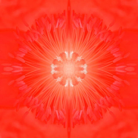 Flower Medallion III Black Ornate Wood Framed Art Print with Double Matting by Grayscale