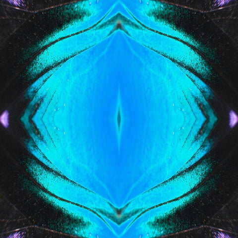 Butterfly Eye II Black Ornate Wood Framed Art Print with Double Matting by Grayscale