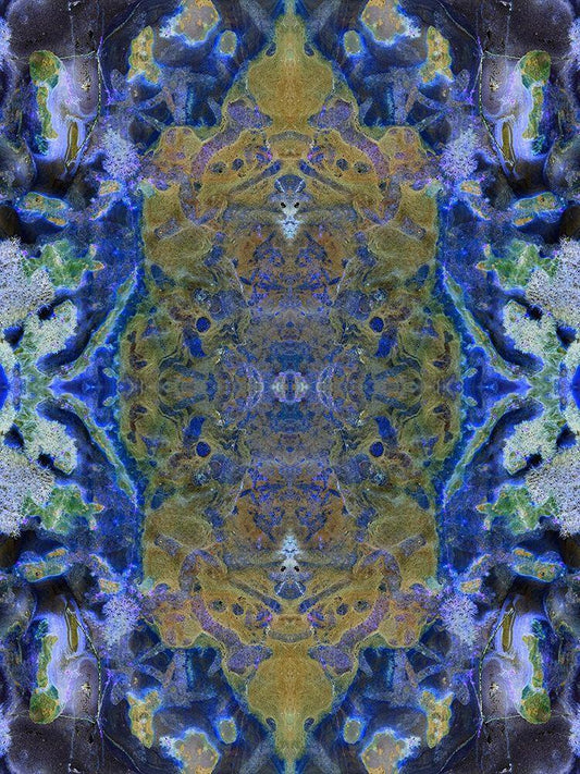 Image Only