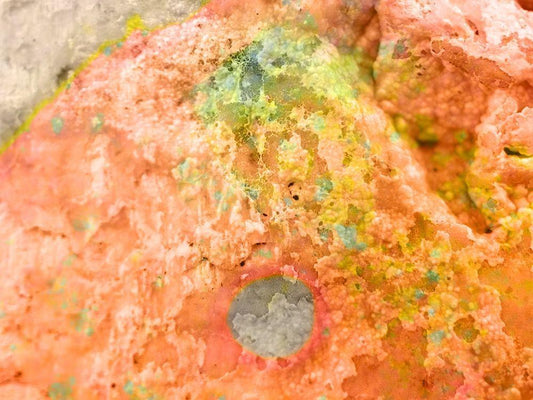 Image Only
