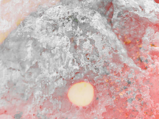 Image Only