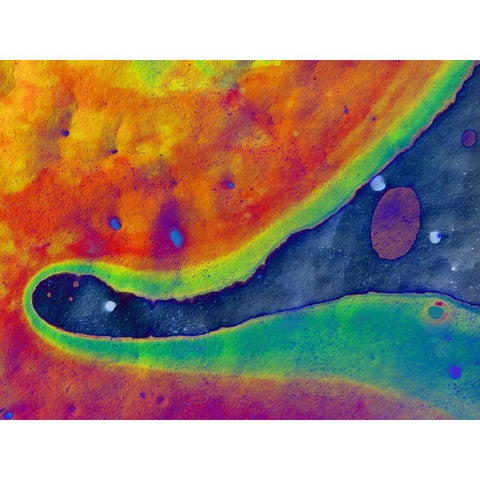 Bio Rainbow I Black Modern Wood Framed Art Print with Double Matting by Grayscale