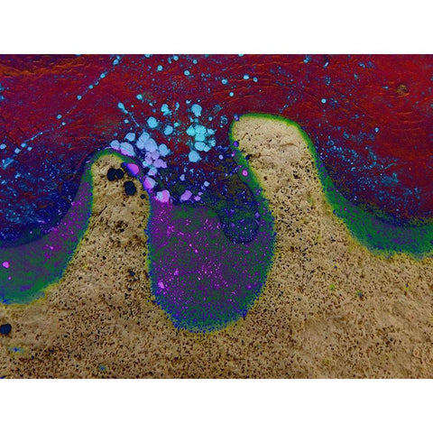 Bio Rainbow III Black Modern Wood Framed Art Print with Double Matting by Grayscale