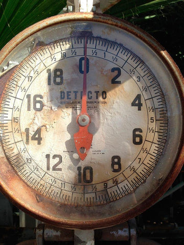 Scale Face White Modern Wood Framed Art Print with Double Matting by Grayscale