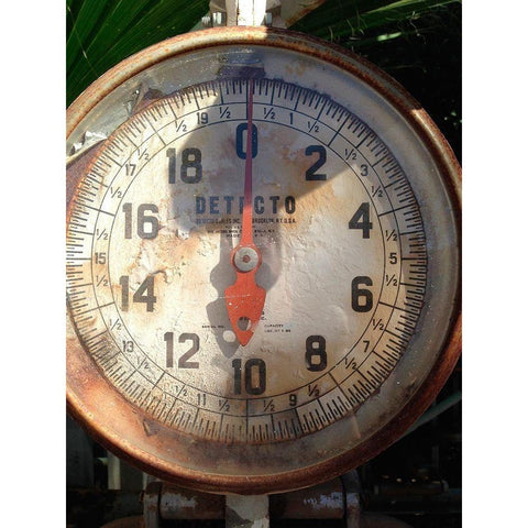 Scale Face White Modern Wood Framed Art Print by Grayscale