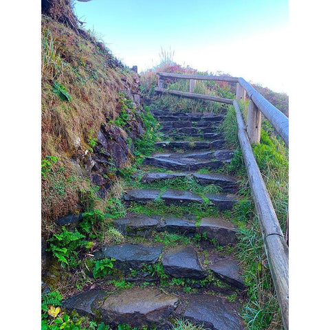 Stone Stairs I Black Modern Wood Framed Art Print by Grayscale