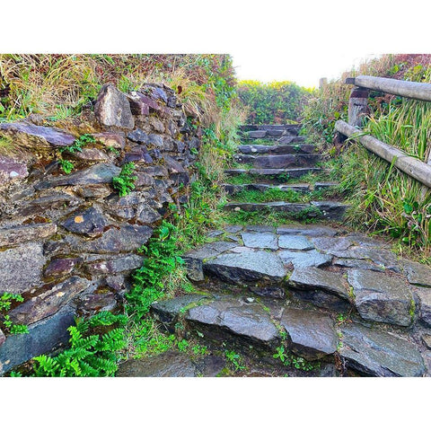 Stone Stairs II Black Modern Wood Framed Art Print by Grayscale