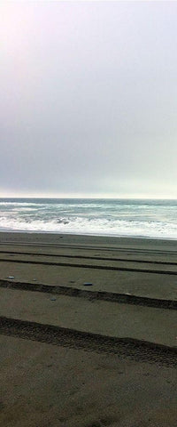 Beach Tracks II Black Ornate Wood Framed Art Print with Double Matting by Grayscale