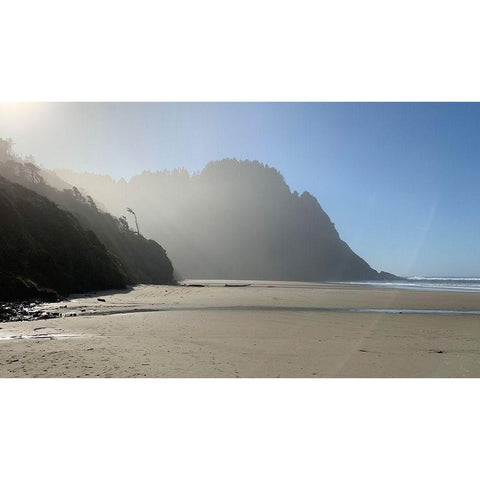 Foggy Beach I White Modern Wood Framed Art Print by Grayscale