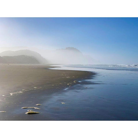 Foggy Beach II Gold Ornate Wood Framed Art Print with Double Matting by Grayscale