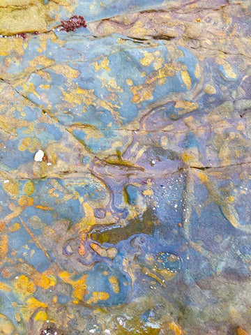 Oxidized Sand I Black Ornate Wood Framed Art Print with Double Matting by Grayscale