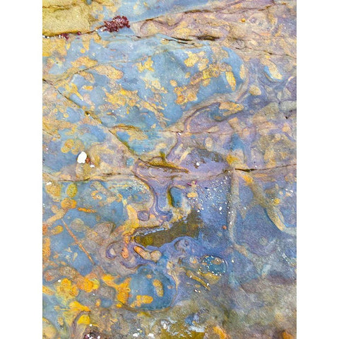 Oxidized Sand I Black Modern Wood Framed Art Print with Double Matting by Grayscale