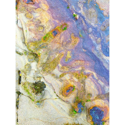 Oxidized Sand II Black Modern Wood Framed Art Print by Grayscale