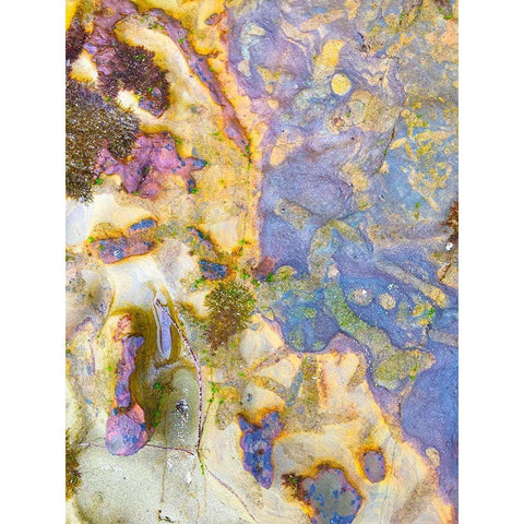 Oxidized Sand III Gold Ornate Wood Framed Art Print with Double Matting by Grayscale