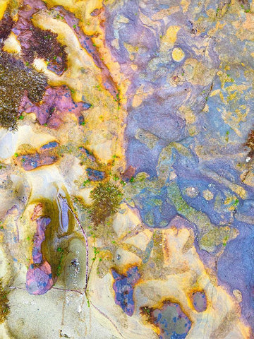 Oxidized Sand III White Modern Wood Framed Art Print with Double Matting by Grayscale