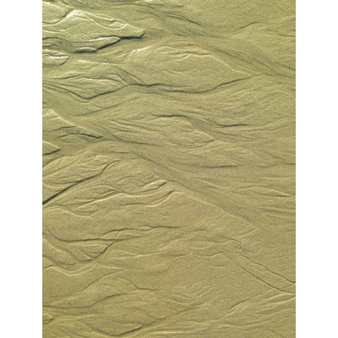 Wet Sand I Gold Ornate Wood Framed Art Print with Double Matting by Grayscale