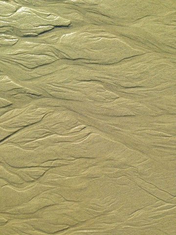 Wet Sand I Black Ornate Wood Framed Art Print with Double Matting by Grayscale