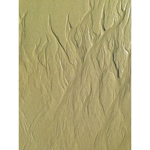 Wet Sand II Gold Ornate Wood Framed Art Print with Double Matting by Grayscale