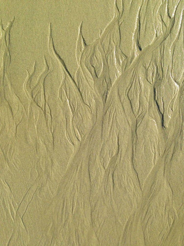 Wet Sand II Black Ornate Wood Framed Art Print with Double Matting by Grayscale