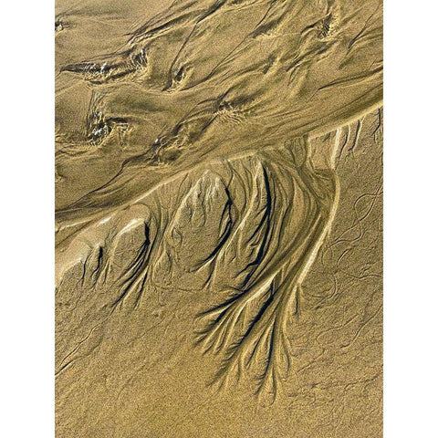 Wet Sand III Gold Ornate Wood Framed Art Print with Double Matting by Grayscale