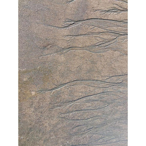 Wet Sand IV Black Modern Wood Framed Art Print with Double Matting by Grayscale