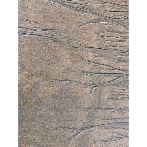 Wet Sand V Black Modern Wood Framed Art Print by Grayscale