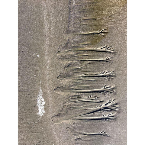 Wet Sand VI Black Modern Wood Framed Art Print with Double Matting by Grayscale