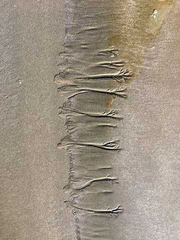 Wet Sand VII White Modern Wood Framed Art Print with Double Matting by Grayscale