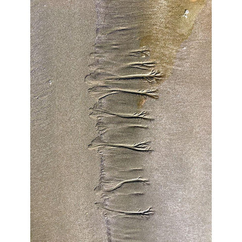 Wet Sand VII Gold Ornate Wood Framed Art Print with Double Matting by Grayscale