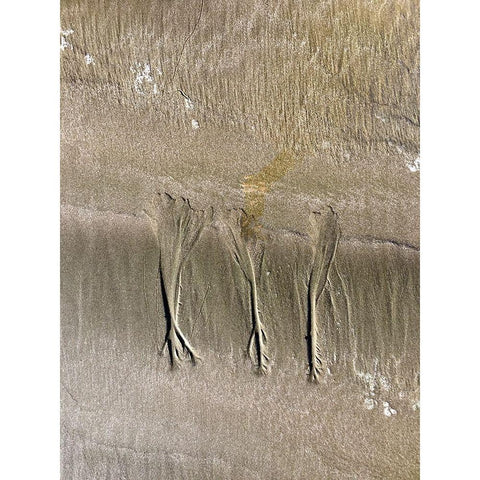 Wet Sand VIII Black Modern Wood Framed Art Print by Grayscale