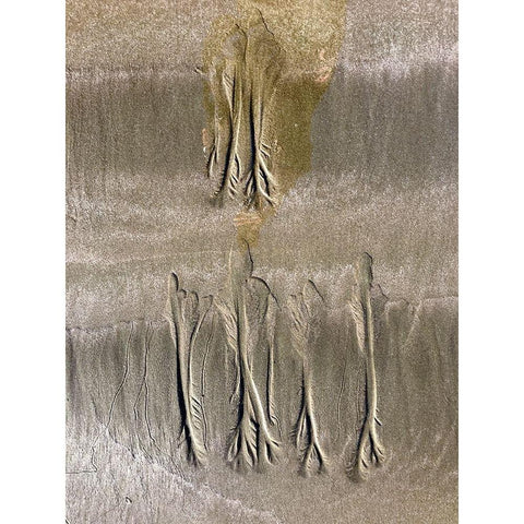 Wet Sand IX White Modern Wood Framed Art Print by Grayscale