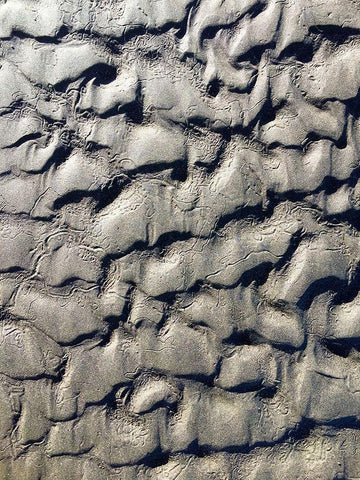 Sand Prints V Black Ornate Wood Framed Art Print with Double Matting by Grayscale