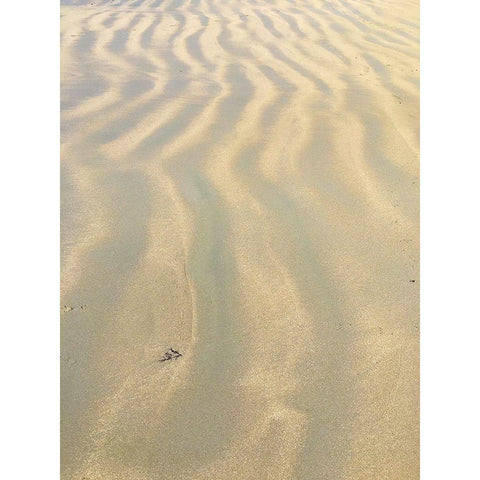 Sand Prints VI White Modern Wood Framed Art Print by Grayscale