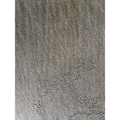 Sand Prints VII Black Modern Wood Framed Art Print with Double Matting by Grayscale