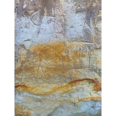 Sand Wall III Gold Ornate Wood Framed Art Print with Double Matting by Grayscale