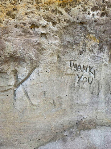 Sand Wall IV Black Ornate Wood Framed Art Print with Double Matting by Grayscale