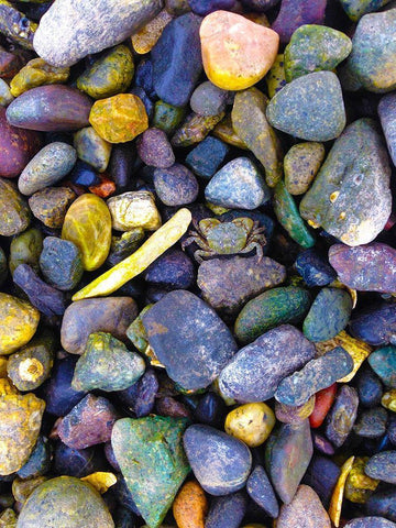 Natural Camo I Black Ornate Wood Framed Art Print with Double Matting by Grayscale