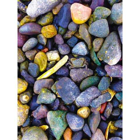 Natural Camo I Black Modern Wood Framed Art Print with Double Matting by Grayscale