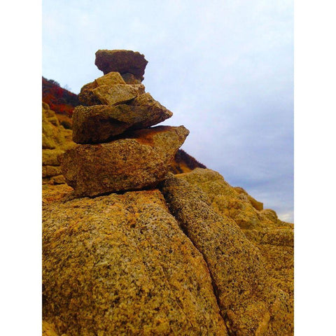 Carins I Gold Ornate Wood Framed Art Print with Double Matting by Grayscale