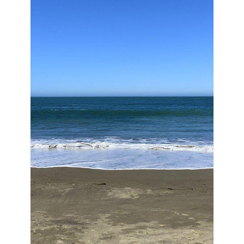 Blue Beach I Gold Ornate Wood Framed Art Print with Double Matting by Grayscale