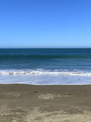 Blue Beach I Black Ornate Wood Framed Art Print with Double Matting by Grayscale