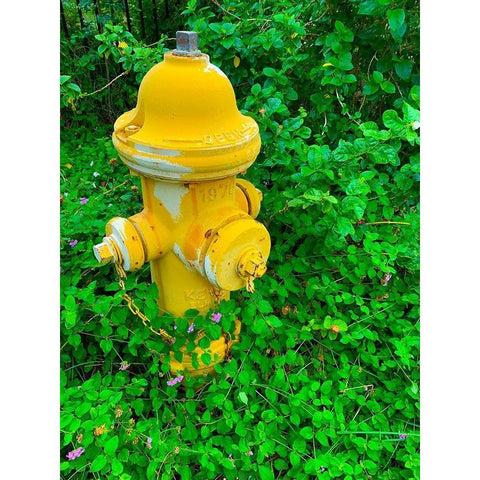 Cozy Hydrant Black Modern Wood Framed Art Print by Grayscale