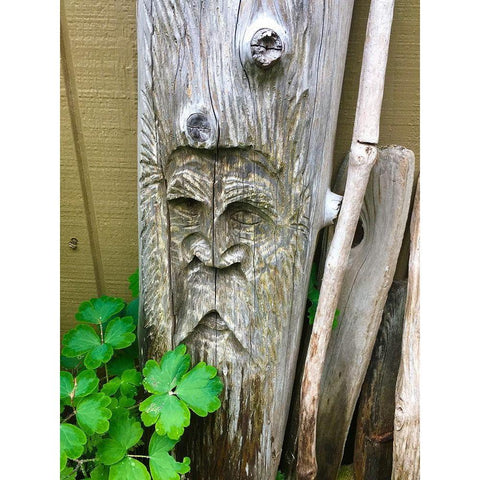 Wooden Face II Gold Ornate Wood Framed Art Print with Double Matting by Grayscale