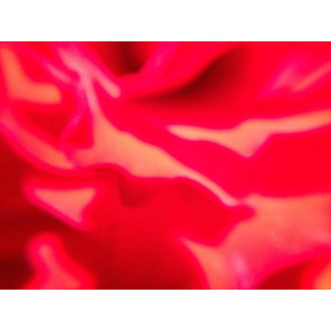 Rose Petal I Gold Ornate Wood Framed Art Print with Double Matting by Grayscale