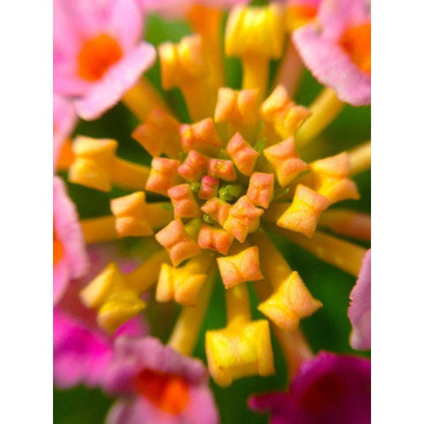 Kaleidoscope I Black Modern Wood Framed Art Print by Grayscale