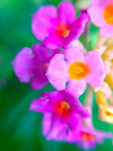 Kaleidoscope III White Modern Wood Framed Art Print with Double Matting by Grayscale