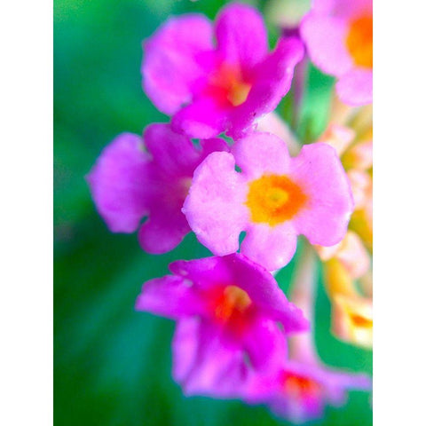 Kaleidoscope III Black Modern Wood Framed Art Print by Grayscale